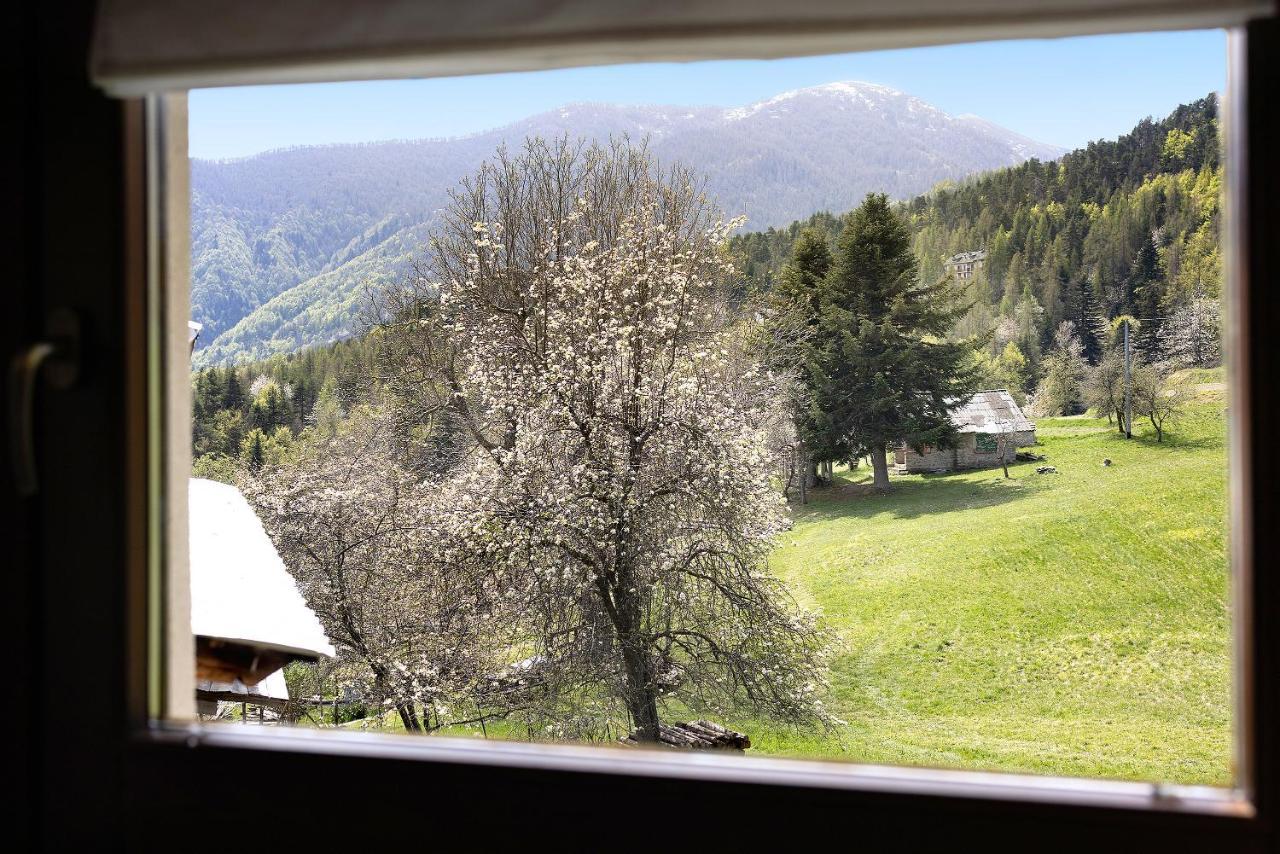 Il Teccio Di Sandro Mendatica Exterior foto